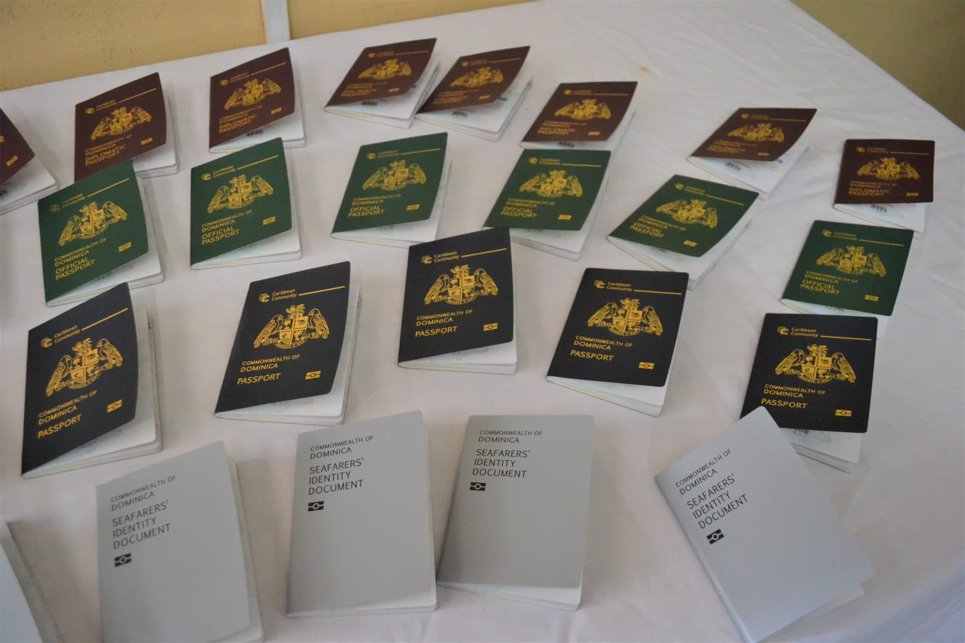 Dominica Biometirc passport