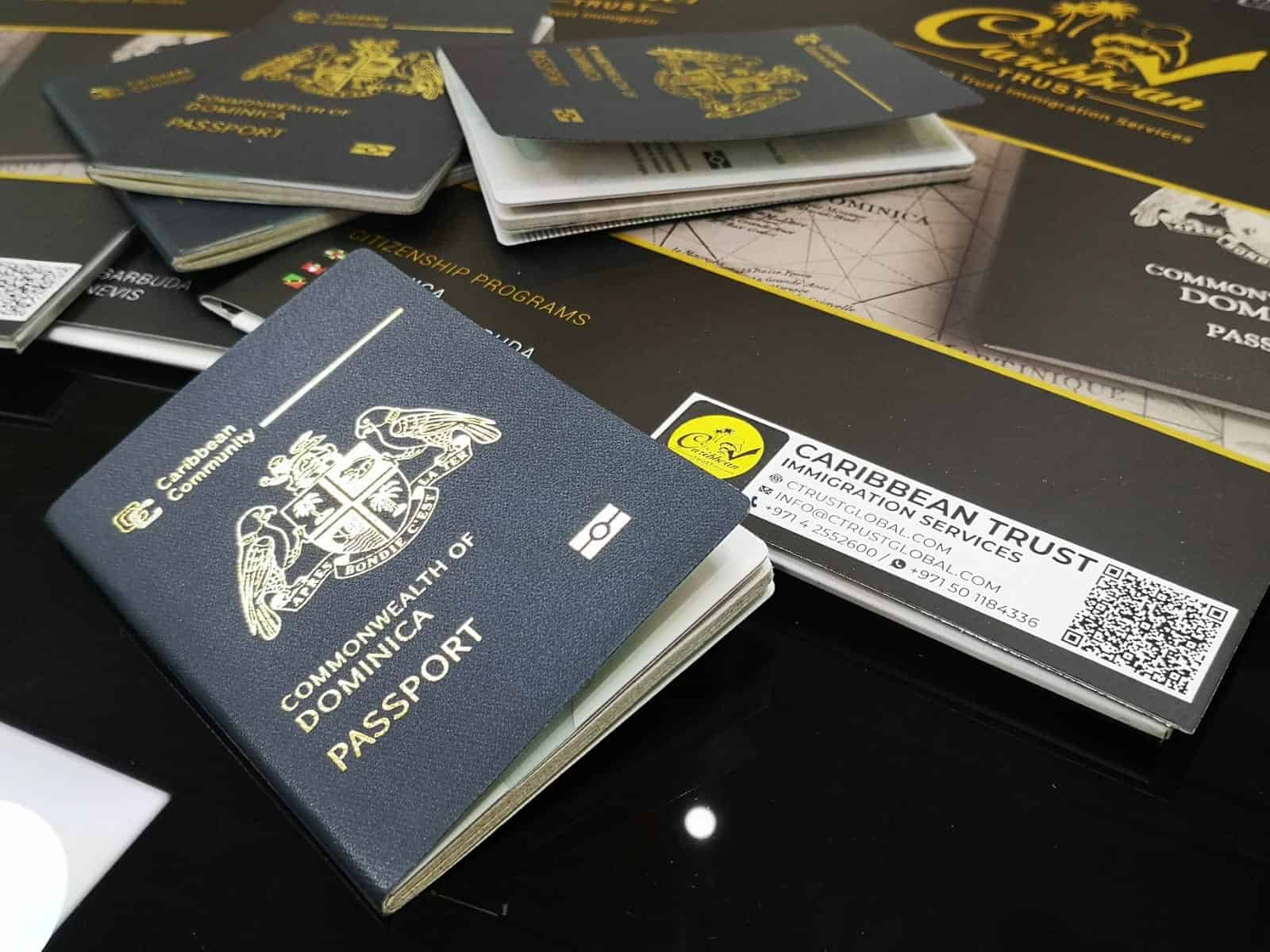 Dominica coastline at sunset