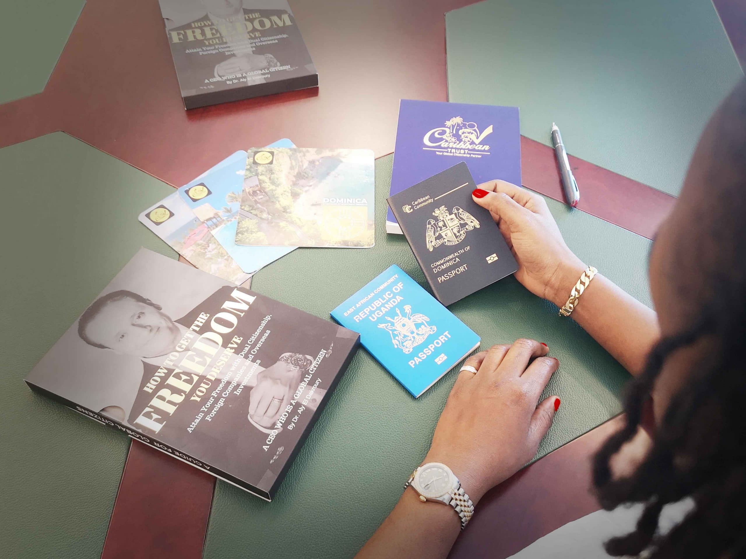 All you need to know before choosing a second citizenship consultant